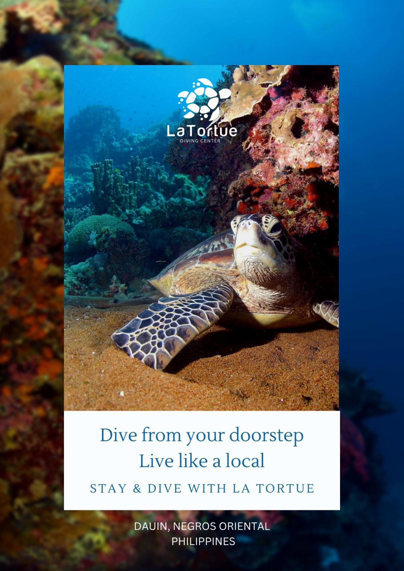 La Tortue Diving Resort Dauin Exterior foto